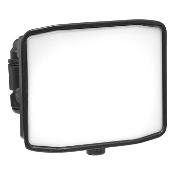 LED Spoljni reflektor ZIPO LED/30W/230V 5000K IP65 crno
