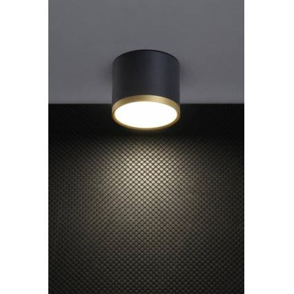 LED spot svetiljka TUBA LED/9W/230V crna/zlatna