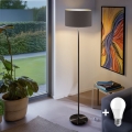 LED stojeća lampa TUNJA 1xE27/20W/230V Ø 38 cm crna/taupe