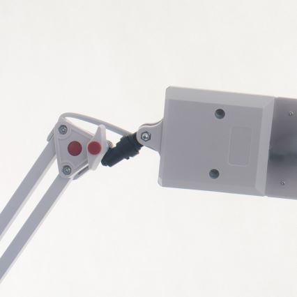 LED Stona lampa ADEPT LED/8W/230V