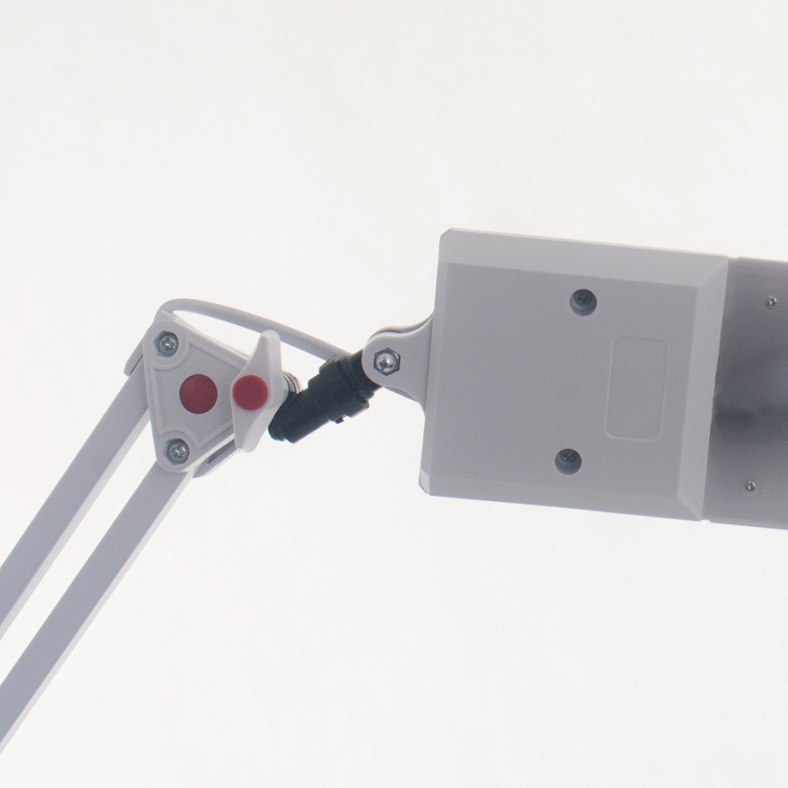 LED Stona lampa ADEPT LED/8W/230V