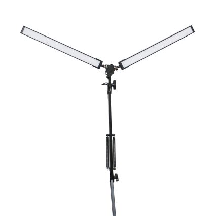 LED Stona lampa sa štipaljkom 2xLED/10W/230V 2800-6800K