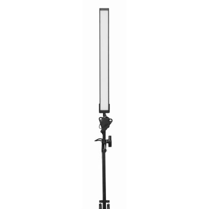 LED Stona lampa sa štipaljkom LED/10W/230V 2800-6800K