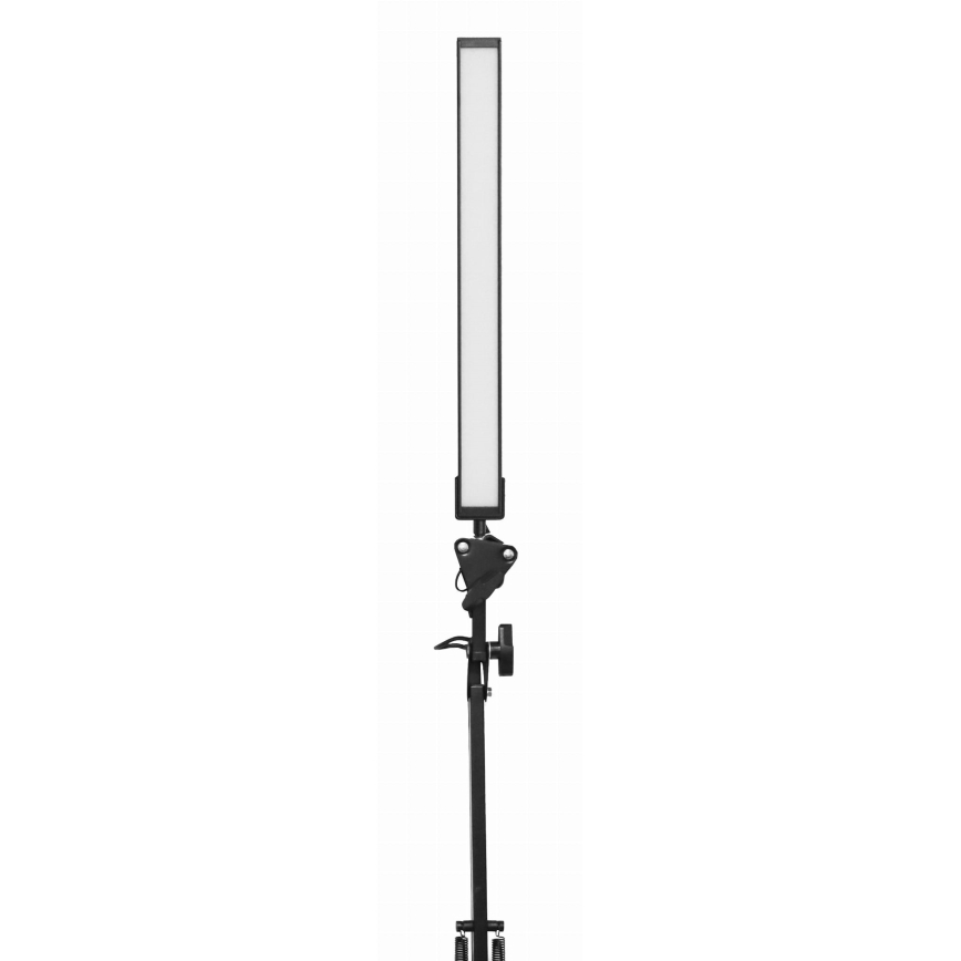 LED Stona lampa sa štipaljkom LED/10W/230V 2800-6800K
