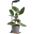 LED stona lampa za uzgoj biljaka VERDI LED/5W/5V 1300K CRI 95 crna (prigušiva)