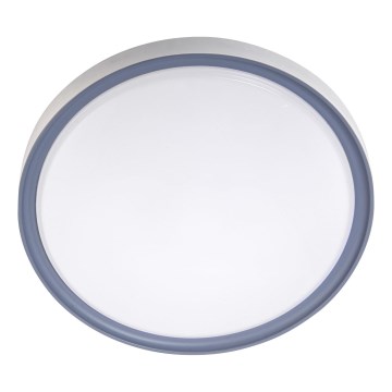 LED stropna svetiljka LED/18W/230V prečnik 30 cm bela/siva