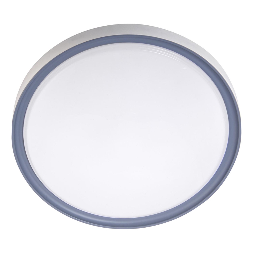 LED stropna svetiljka LED/18W/230V prečnik 30 cm bela/siva