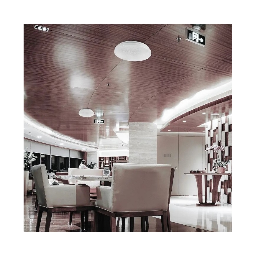 LED Stropna svjetiljka LED/36W/230V pr. 50 cm 3000/4000/6400K
