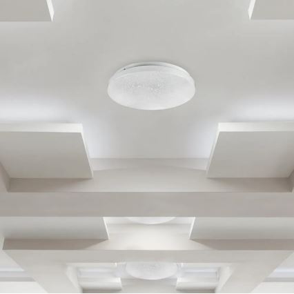 LED Stropna svjetiljka LED/36W/230V pr. 50 cm 3000/4000/6400K