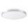 LED stropno svetlo KERN LED/24W/230V nikl