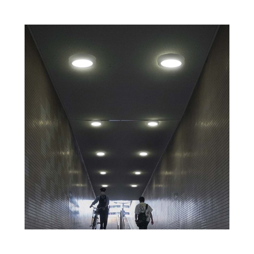 LED stropno svetlo LED/6W/230V 6500K Ø 12 cm belo