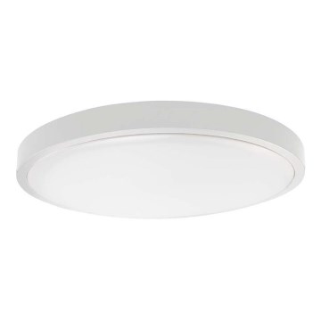 LED stropno svetlo za kupatilo SAMSUNG ČIP LED/24W/230V IP44 6500K prečnik 29 cm bela