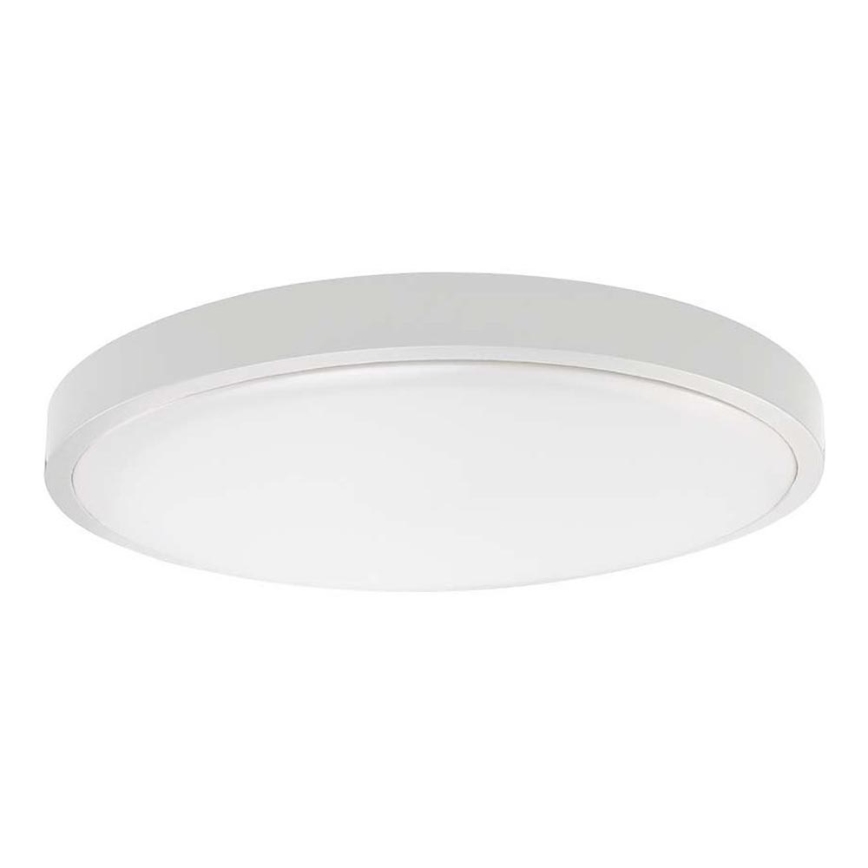 LED stropno svetlo za kupatilo SAMSUNG ČIP LED/24W/230V IP44 6500K prečnik 29 cm bela
