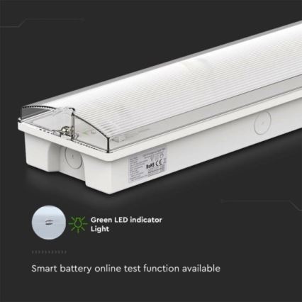 LED svetiljka za izlaz u nuždi LED/3W/230V 6400K IP65