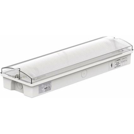 LED sigurnosno svetlo sa redovnim testom funkcionalnosti IZLAZ U NUŽDI LED/3W/230V 6400K IP65