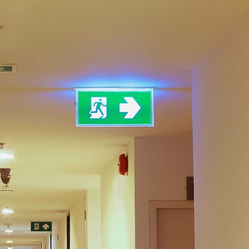 LED svetiljka za hitne slučajeve IZLAZ U HITNOM SLUČAJU Samsung čip LED/2W/230V 6000K