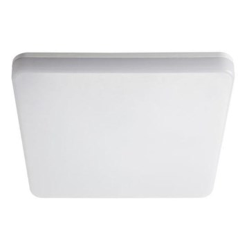 LED tehnička lampa LED/18W/230V 4000K IP54