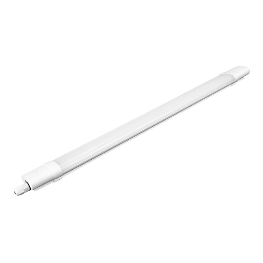 LED tehnička lampa LED/36W/230V IP65