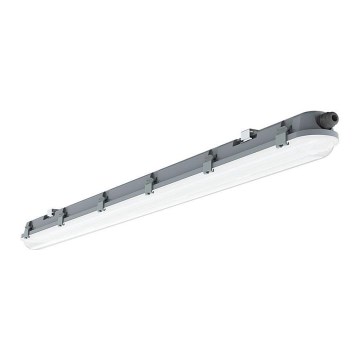 LED tehničko svetlo M-SERIES LED/48W/230V 4000K 150cm IP65