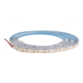 LED traka DAISY 5m hladno bela