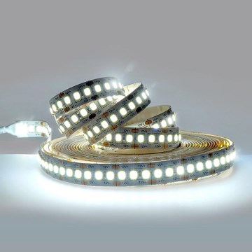 LED traka LED/80W/12V 5m hladno-bela