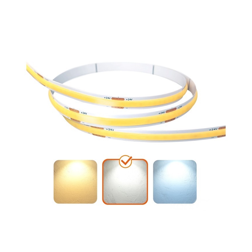 LED Traka TRAMO LED/500W/24V 50 m 4000K