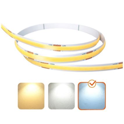 LED Traka TRAMO LED/500W/24V 50 m 6500K