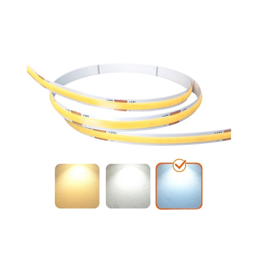 LED Traka TRAMO LED/500W/24V 50 m 6500K