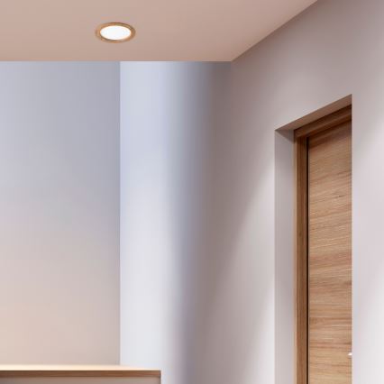 LED ugradna svetiljka WOODY SPOT LED/23,5W/230V 4000K hrast, prečnik 23,5 cm