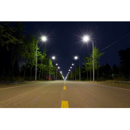 LED Ulična svetiljka BOSTON LED/35W/230V IP65