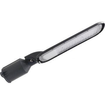 LED ulična svetiljka BRELUXO LED/100W/230V 4000K IP65