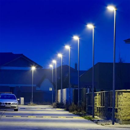 LED Ulična svetiljka LED/50W/230V 6500K IP65
