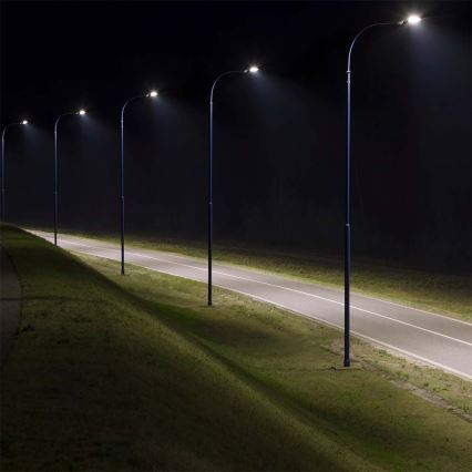 LED Ulična svetiljka LED/50W/230V 6500K IP65