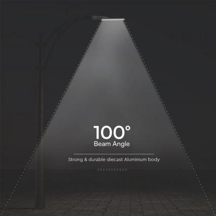 LED Ulična svetiljka SAMSUNG CHIP LED/100W/230V 6500K IP65