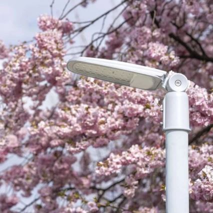 LED Ulična svetiljka SOLIS LED/30W/230V 3000K IP65