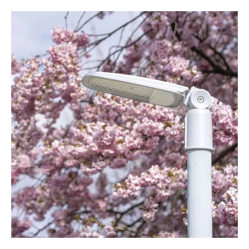 LED Ulična svetiljka SOLIS LED/30W/230V 3000K IP65