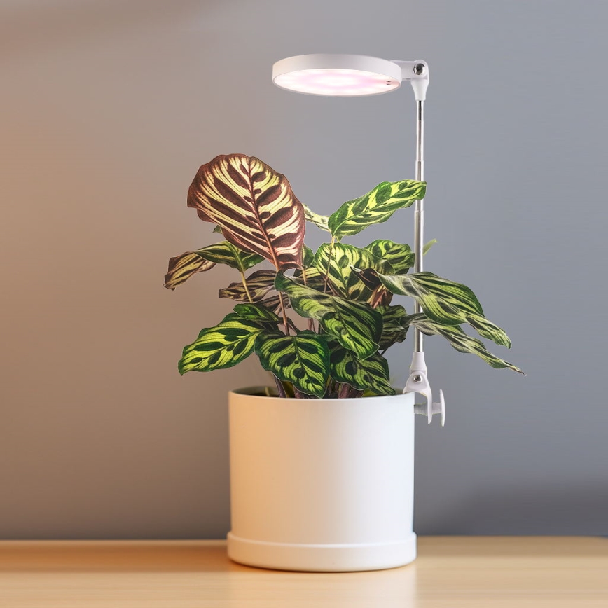 LED Unutrašnja lampa za gajenje biljaka LED/10W/5V 3200K