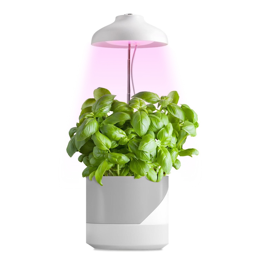 LED Unutrašnja lampa za gajenje biljaka LED/5W/5V 3200K