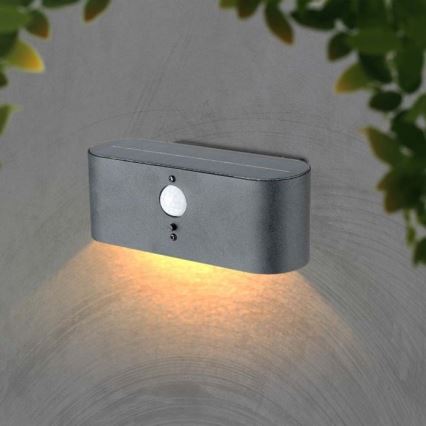 LED Vanjska solarna zidna Lampa sa senzorom LED/2,5W/3,7V 3000K IP54