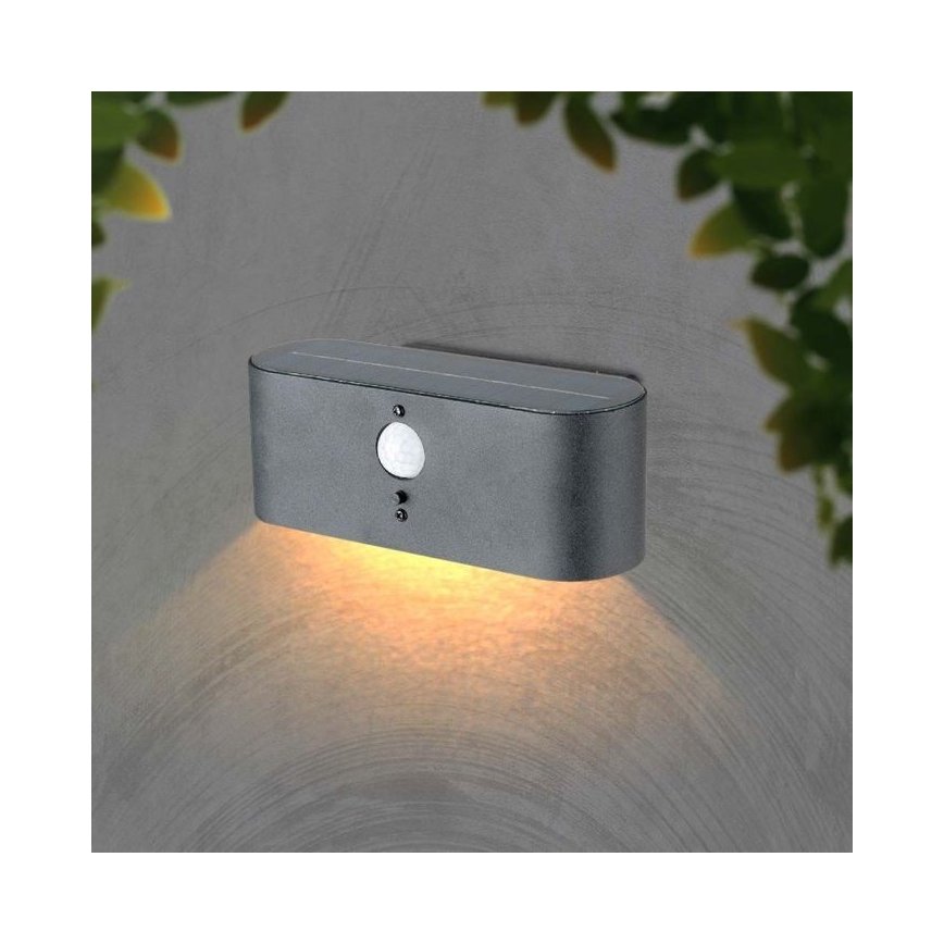 LED Vanjska solarna zidna Lampa sa senzorom LED/2,5W/3,7V 3000K IP54
