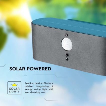 LED Vanjska solarna zidna Lampa sa senzorom LED/2,5W/3,7V 3000K IP54