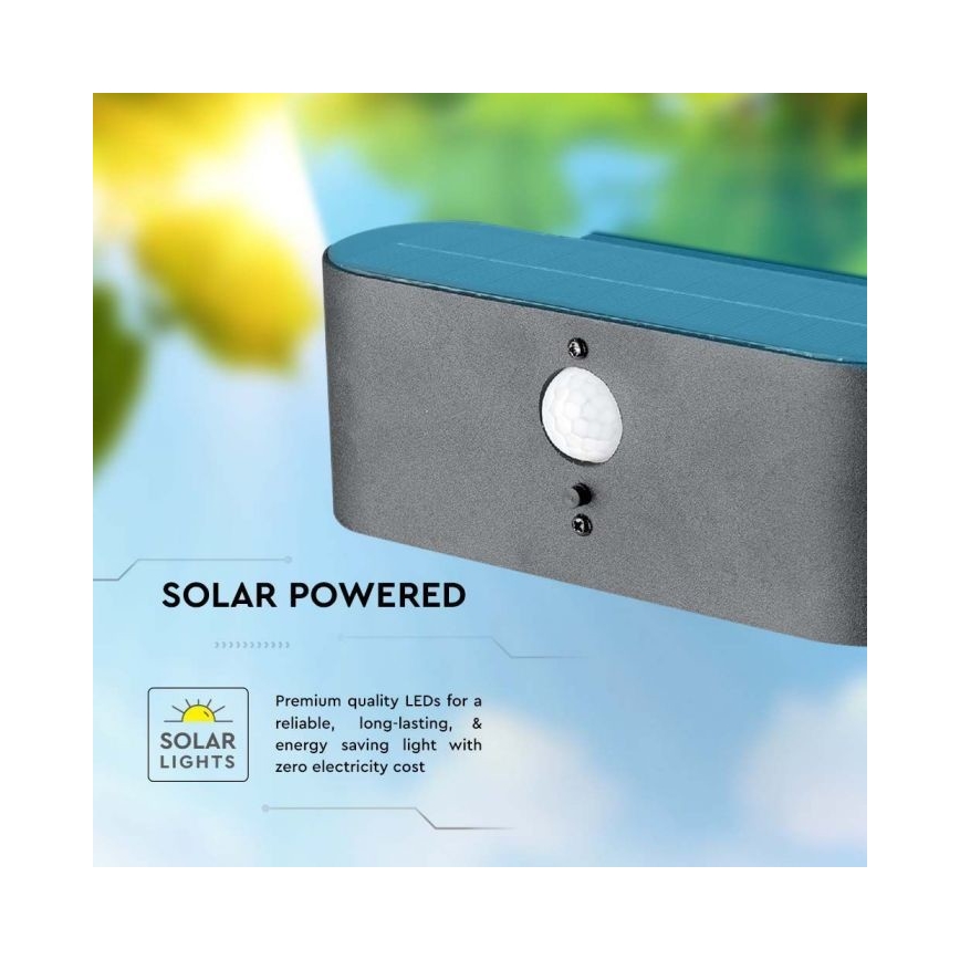 LED Vanjska solarna zidna Lampa sa senzorom LED/2,5W/3,7V 3000K IP54