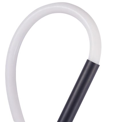 LED Zidna lampa EMMA LED/19W/230V crno