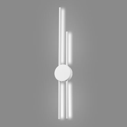 LED Zidna lampa LANA LED/15W/230V 4000K bela