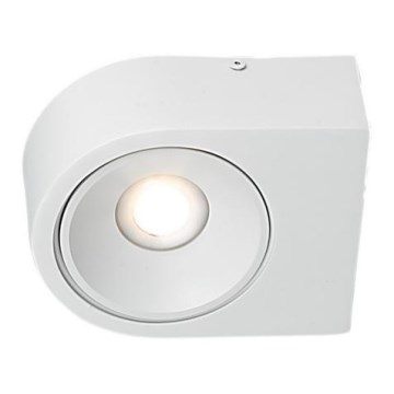 LED Zidna lampa LUCE LED/10W/230V