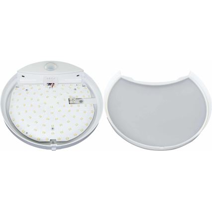 LED Zidno spoljašnje osvetljenje sa senzorom HIBIS LED/15W/230V IP44