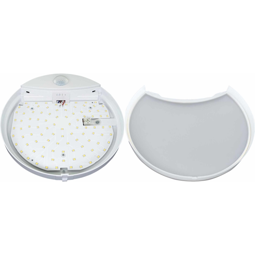 LED Zidno spoljašnje osvetljenje sa senzorom HIBIS LED/15W/230V IP44
