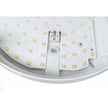 LED Zidno spoljašnje osvetljenje sa senzorom HIBIS LED/15W/230V IP44