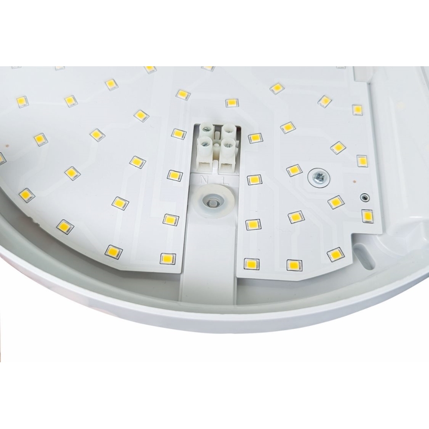 LED Zidno spoljašnje osvetljenje sa senzorom HIBIS LED/15W/230V IP44