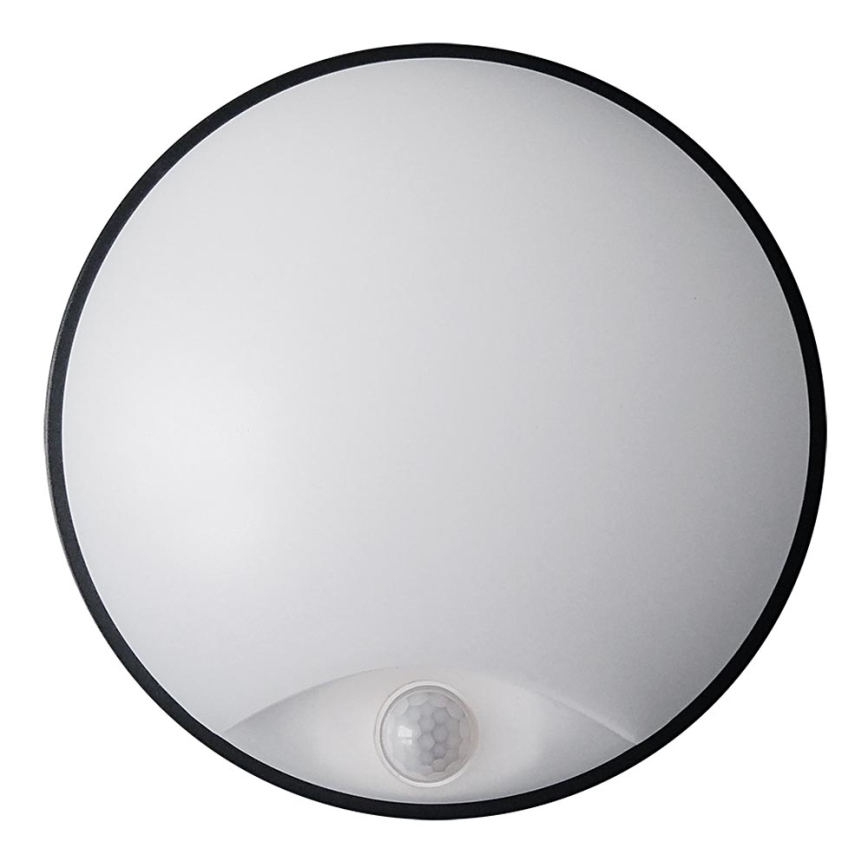 LED Zidno spoljašnje osvetljenje sa senzorom LED/14W/230V IP54
